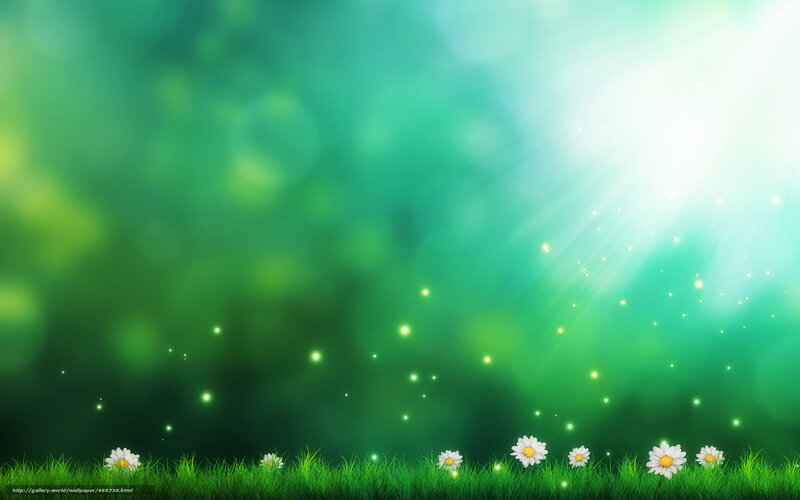 Daisies in Green Grass — Serene, Morning, Digital Art, Flowers