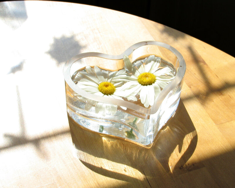 Daisies in Heart-shaped Vase