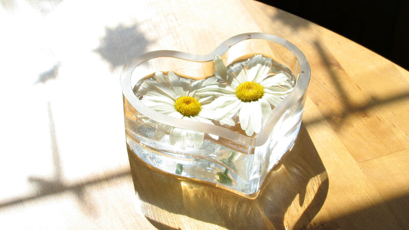 Daisies in Heart Vase