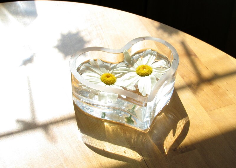 Daisies in Heart Vase — White, Serene