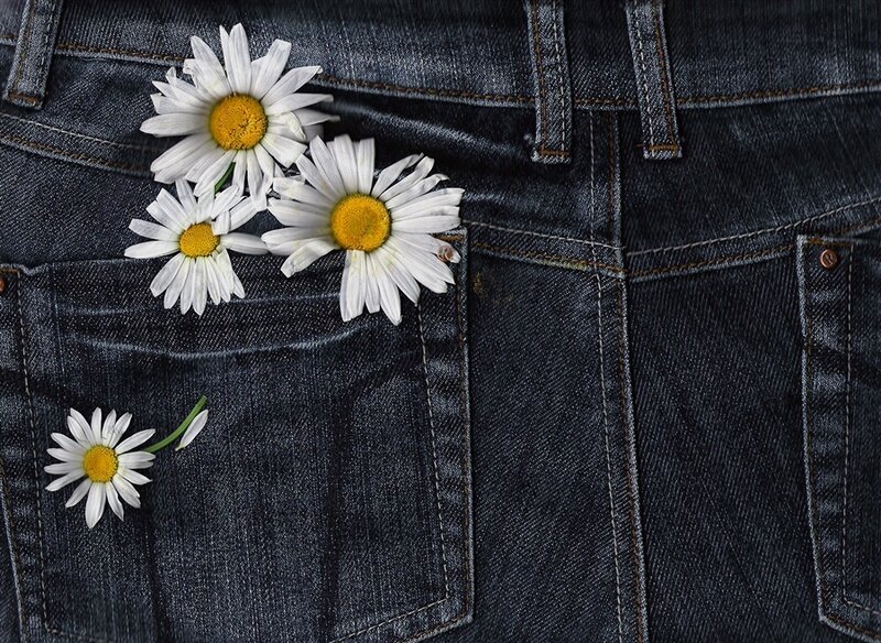 Daisies in Jeans Pocket