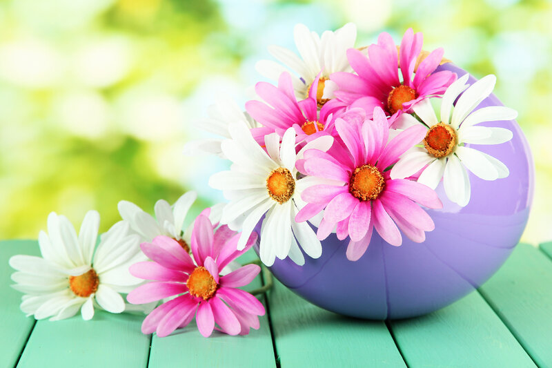 Daisies in Purple Vase