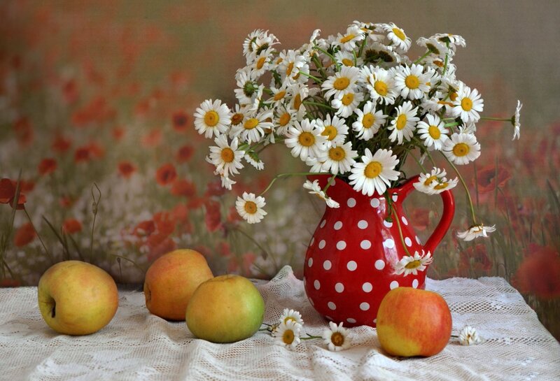 Daisies in Red Pitcher