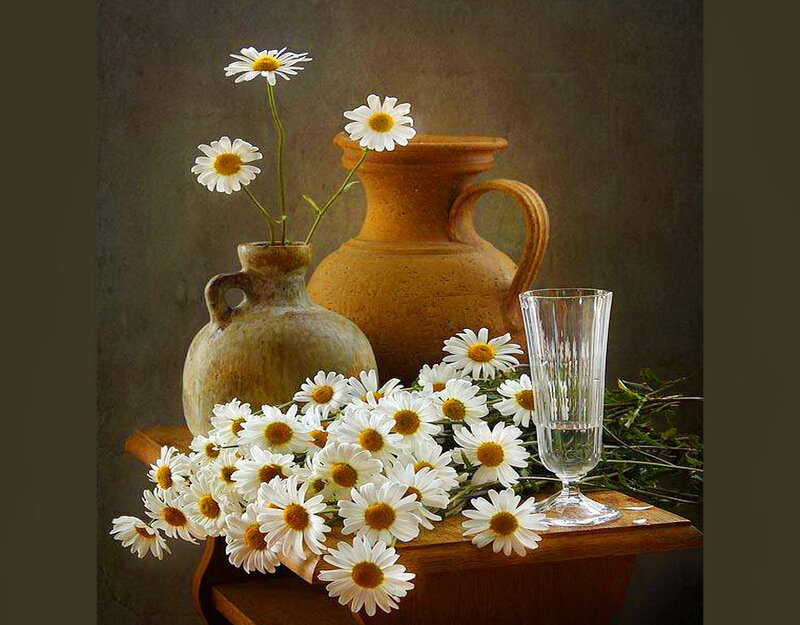 Daisies in Vases — White