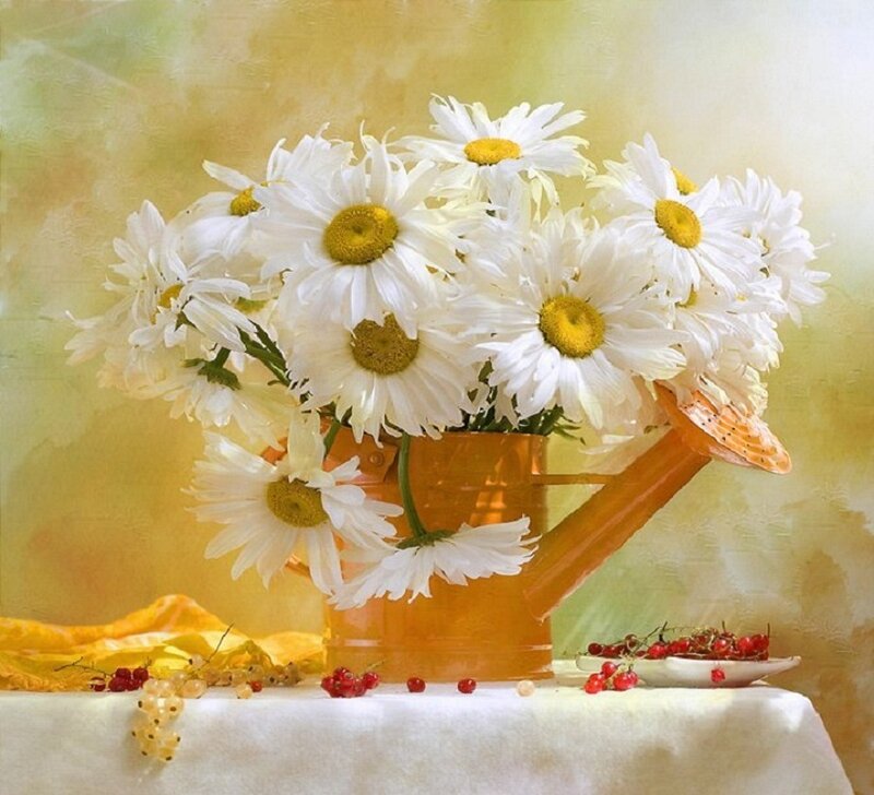 Daisies in Watering Can