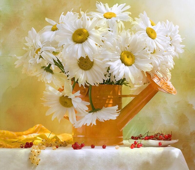 Daisies in Watering Can — White, Calm