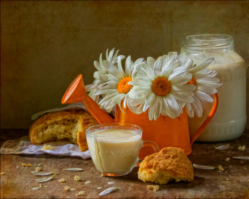 Daisies in Watering Can — White, Serene, Morning