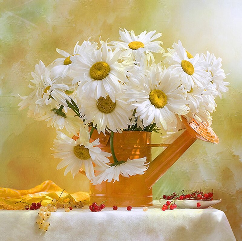 Daisies in Watering Can — White