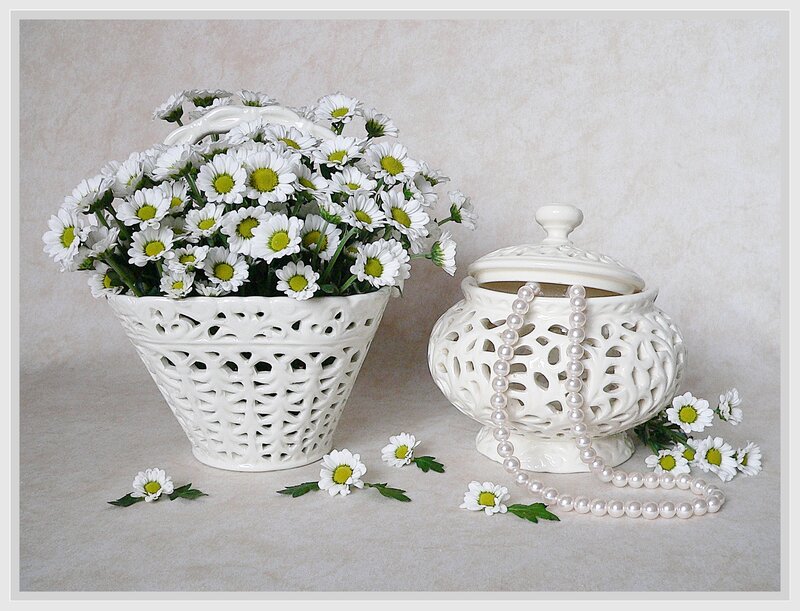 Daisies in white ceramic