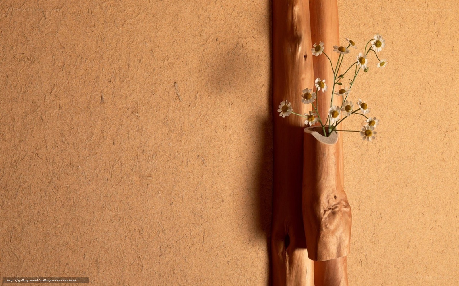 daisies in wooden vase