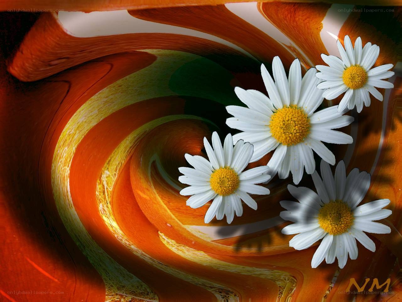 Daisies on a swirling background