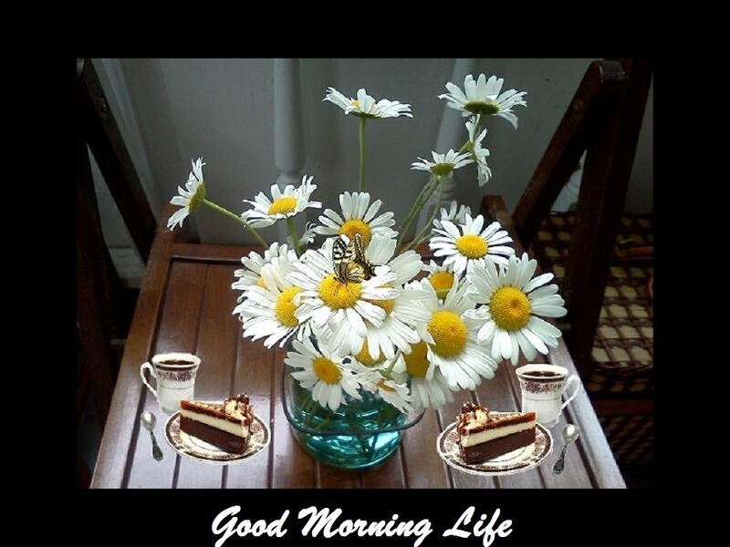 Daisies on a Table