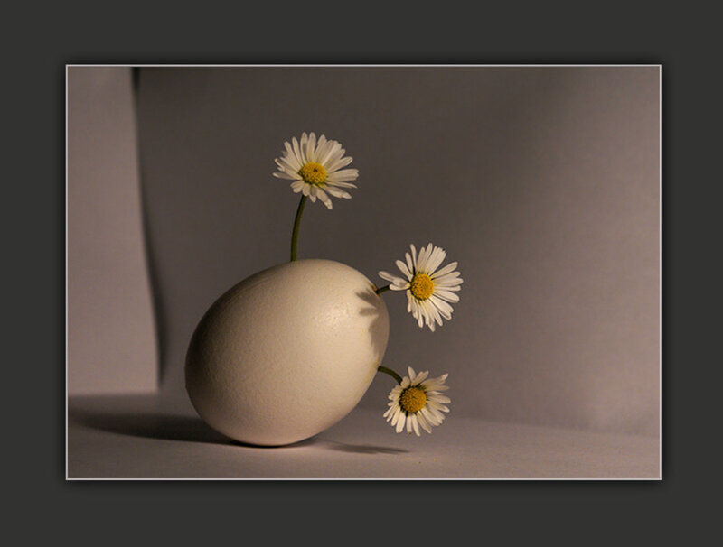 Daisies on an egg