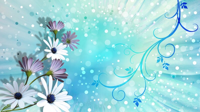 Daisies on Blue Background
