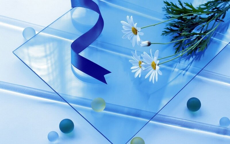 Daisies on Glass Surface