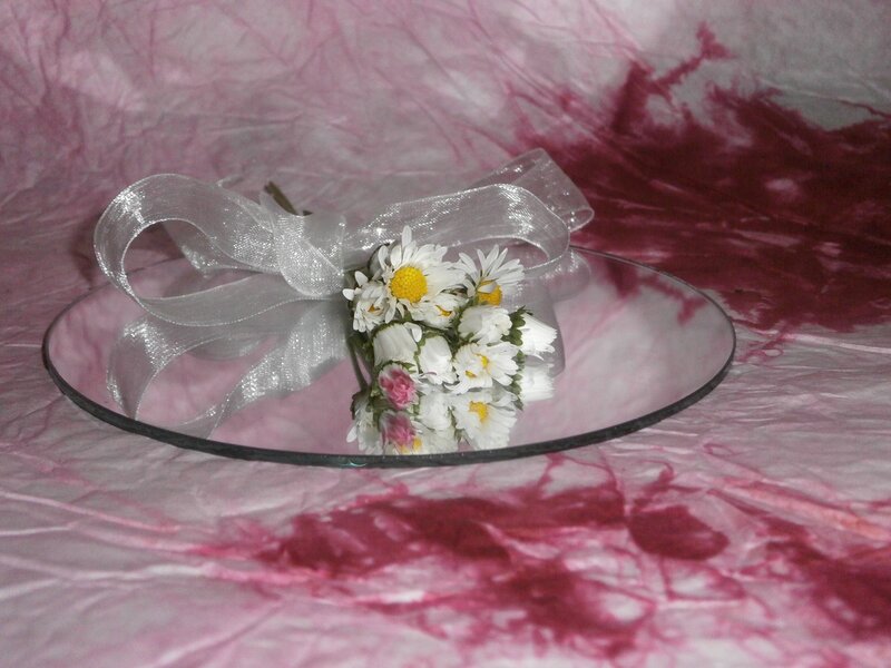 Daisies on Mirror