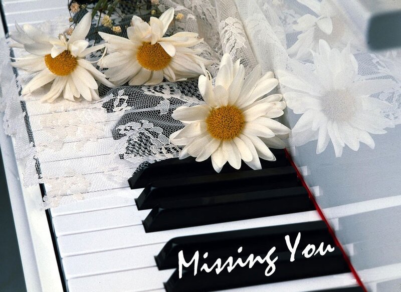 Daisies on piano keys