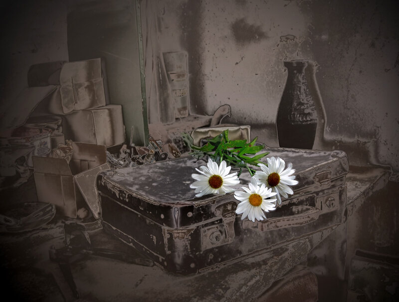 Daisies on Suitcase