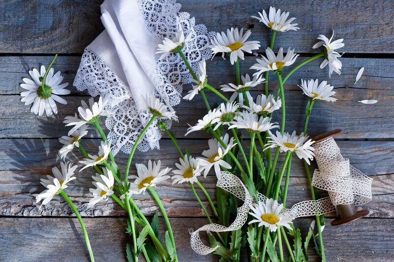 Daisies on Wooden Surface — White, Calm