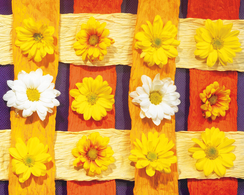 Daisies on Woven Fabric
