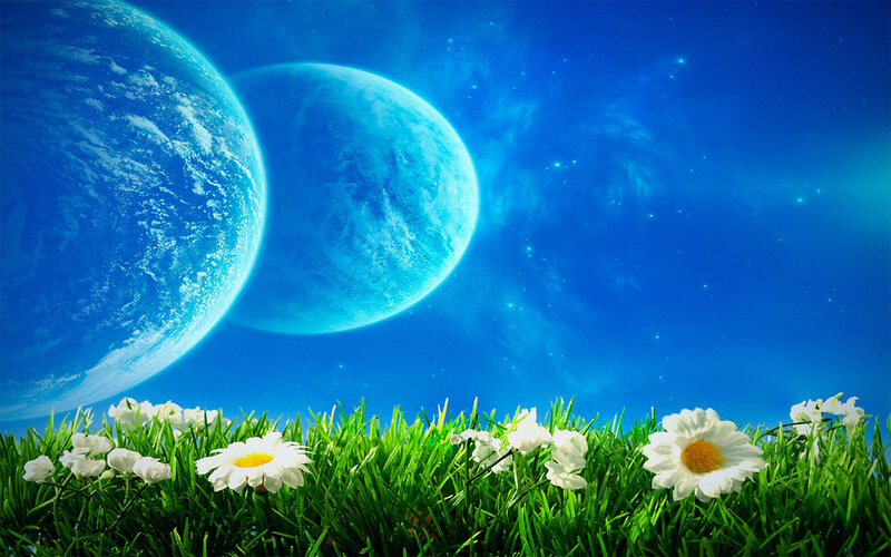 Daisies under alien skies