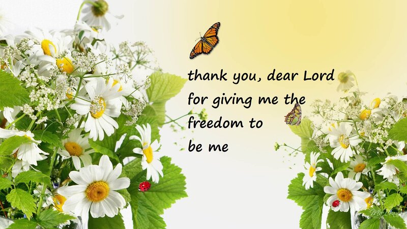 Daisies with Butterflies — White, Serene, Morning