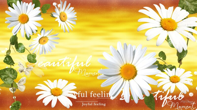 Daisies with Butterflies — Yellow