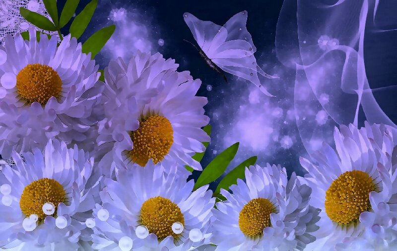 Daisies with Butterfly — Purple