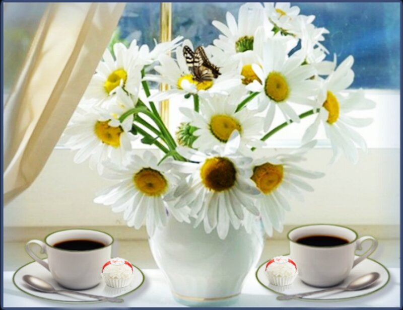 Daisies with Coffee Cups