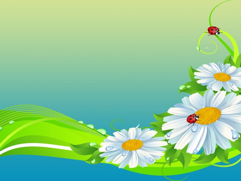 Daisies with Ladybugs — Green