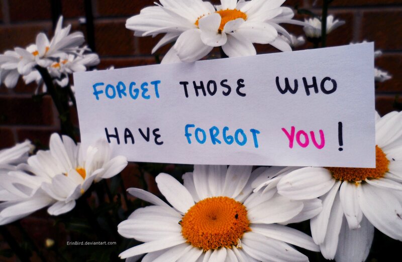 Daisies with Sign