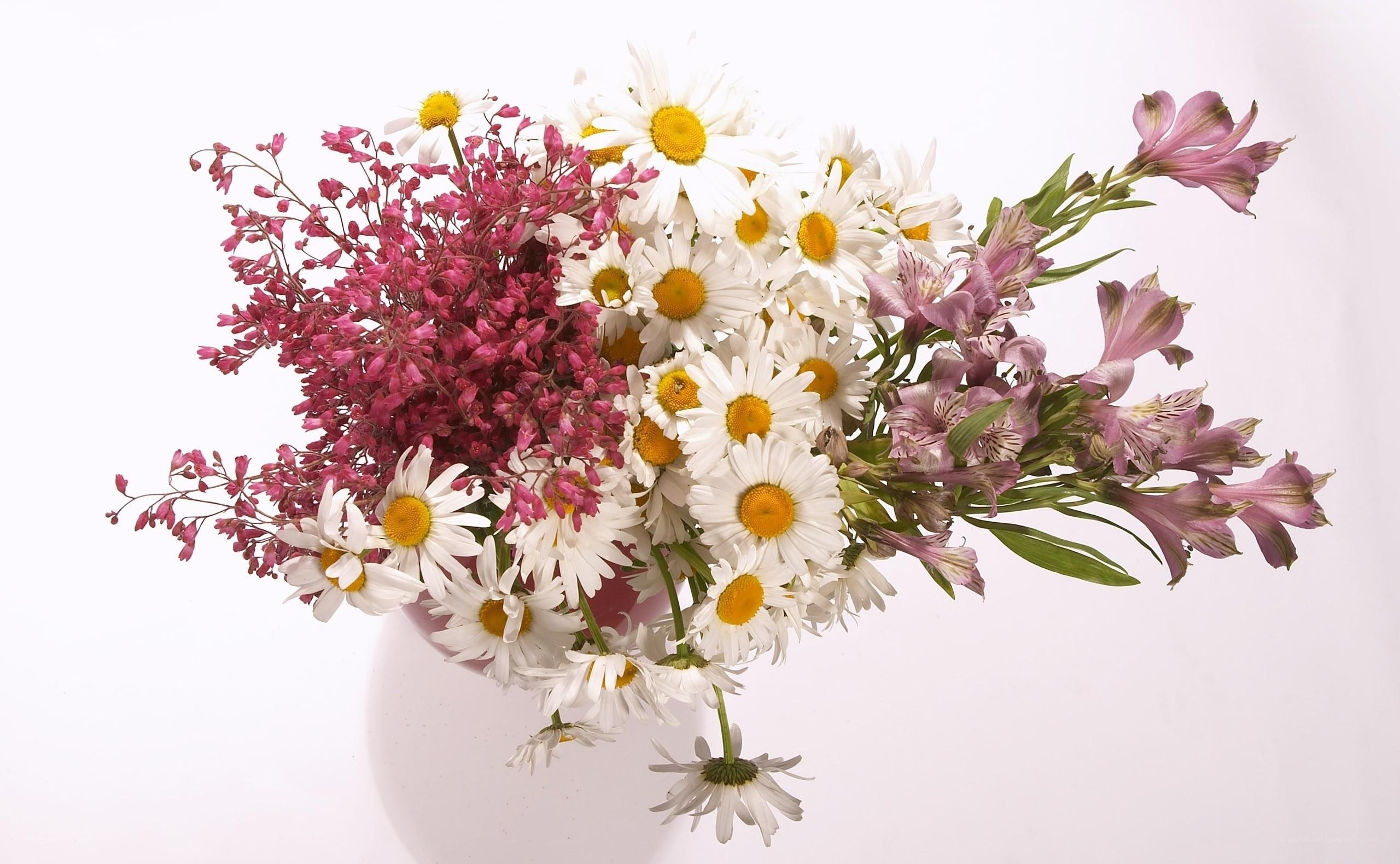 Daisy and alstroemeria bouquet