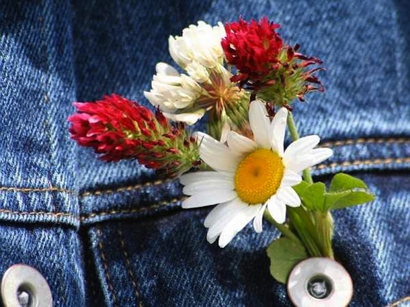 Daisy and Clover on Denim