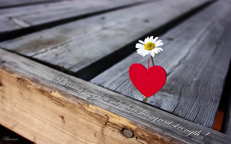 Daisy and Heart on Wood