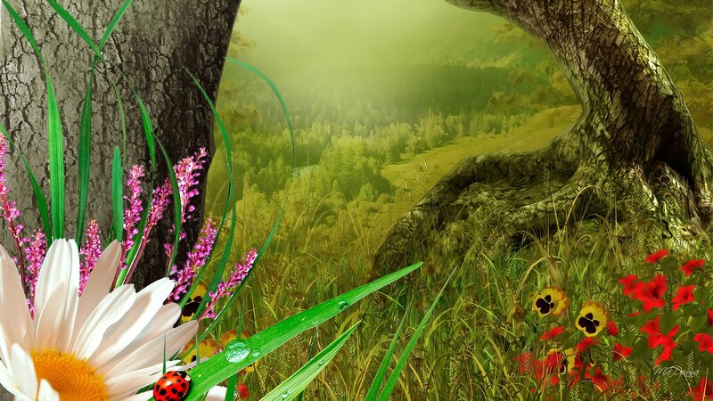 Daisy and Ladybug in Forest