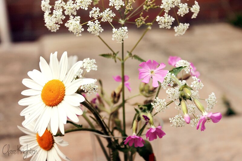 Daisy and Pink Flowers — White