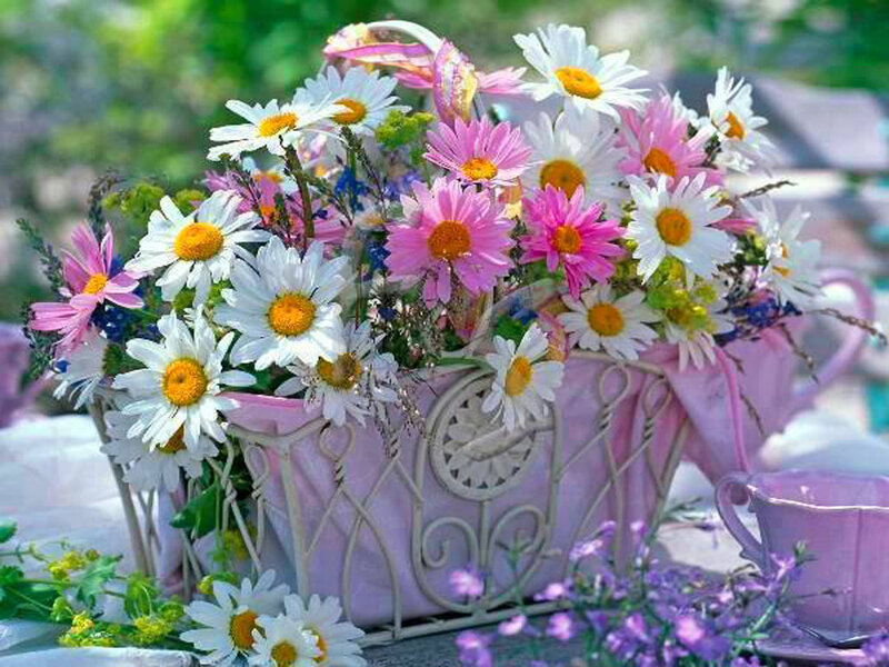 Daisy Bouquet in Basket — White