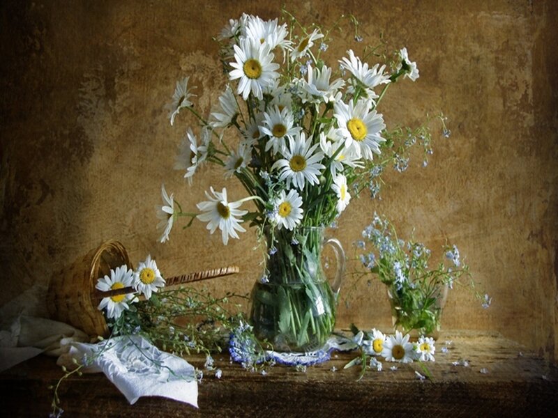 Daisy Bouquet in Vase — White, Serene