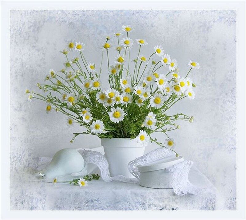 Daisy Bouquet in White Pot