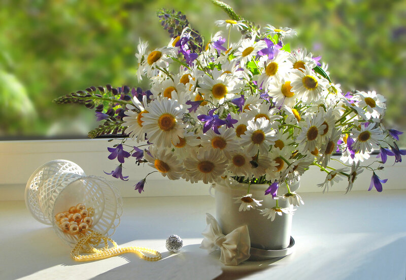 Daisy Bouquet on Windowsill
