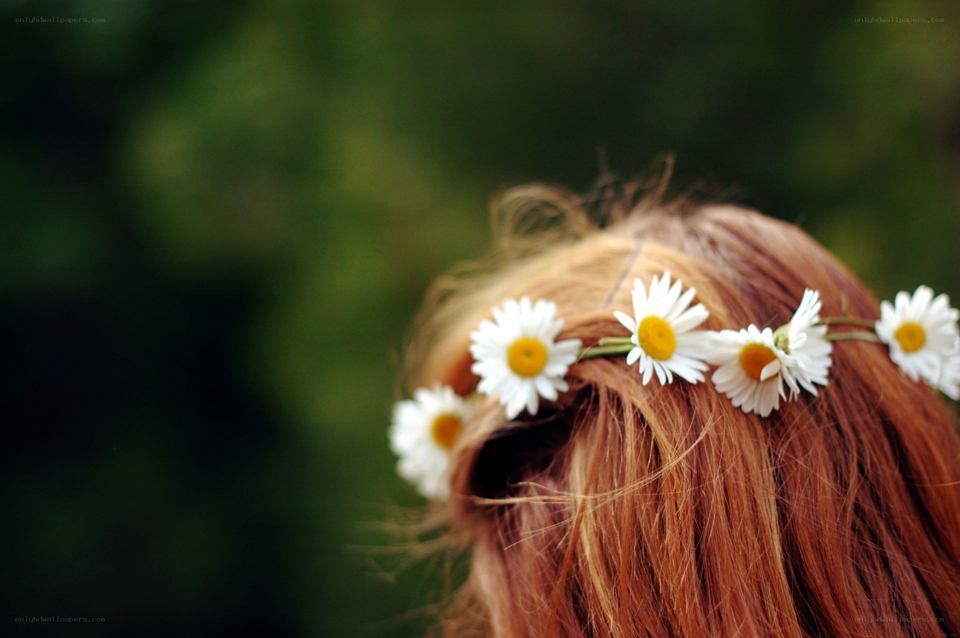 daisy crown on red hair