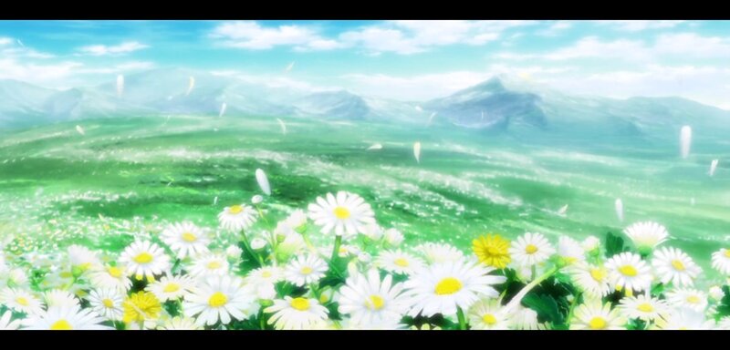Daisy Field in Meadow — Green, Serene