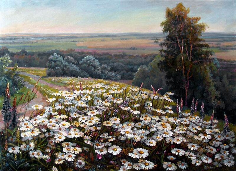 Daisy Field on Hillside