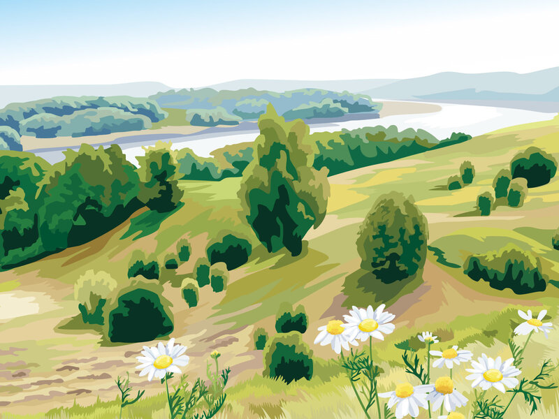 Daisy Field with River