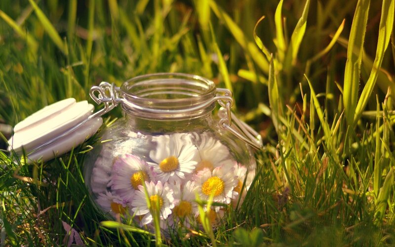 Daisy-filled Jar in Grass — Green