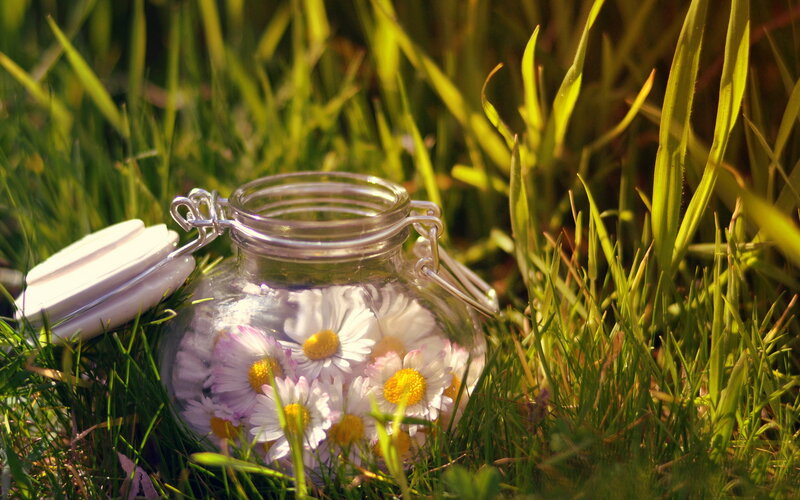 Daisy-filled Jar in Grass
