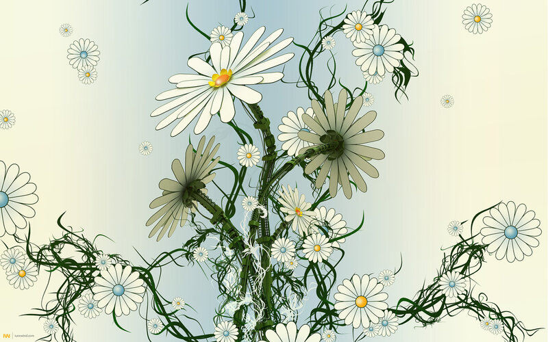 daisy floral design