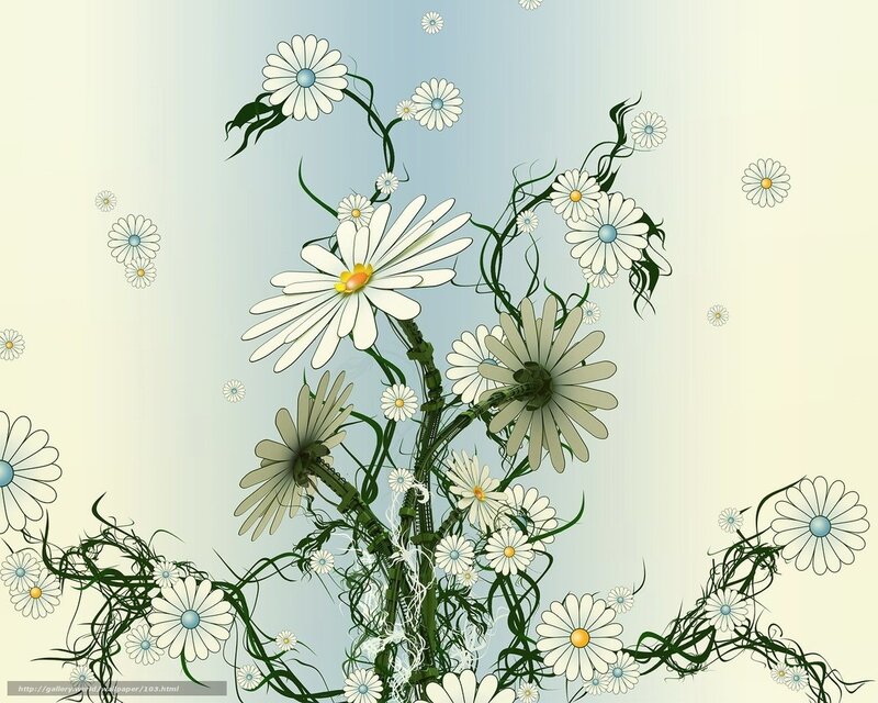 daisy floral design