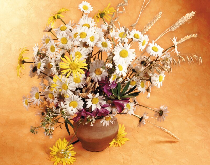 Daisy Flower Bouquet — Orange