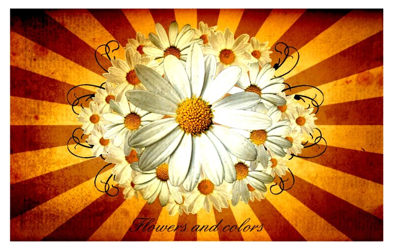 Daisy Flower Bouquet